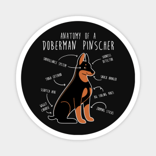 Doberman Anatomy Magnet